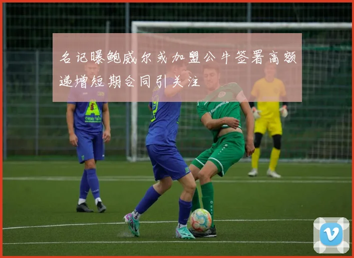 名记曝鲍威尔或加盟公牛签署高额递增短期合同引关注