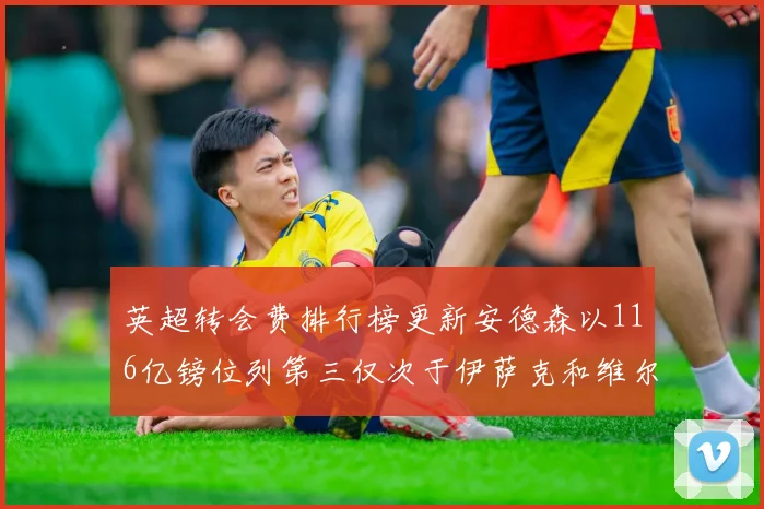 英超转会费排行榜更新安德森以116亿镑位列第三仅次于伊萨克和维尔茨